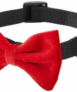 Frisco Removeable Velvet Collar Bow 10 Frisco Removeable Velvet Collar Bow -The Frisco Store 289810 PT5. SY630 V1632186369