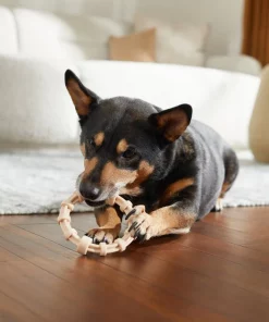 Frisco Nylon Ring Dog Chew Toy, Chicken Flavor, Medium 9 Frisco Nylon Ring Dog Chew Toy, Chicken Flavor, Medium -The Frisco Store 290533 PT3. SY630 V1635369395