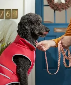 Frisco Fantastic Foxes Dog Leash -The Frisco Store 291242 PT3. SY630 V1629487758