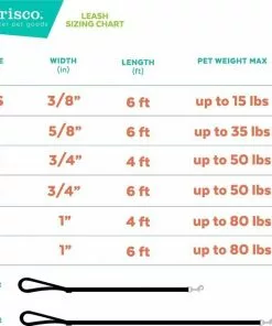 Frisco Fantastic Foxes Dog Leash -The Frisco Store 291242 PT5. SY630 V1628828187