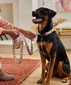 Frisco Mountain Leaves Dog Leash -The Frisco Store 291251 PT3. SY630 V1629488355