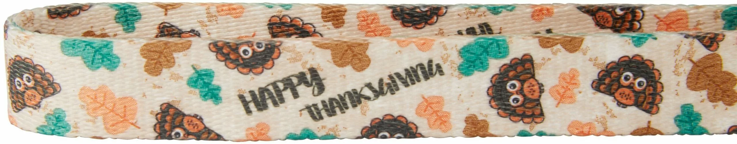 Frisco Thanksgiving Turkey Dog Collar 5 Frisco Thanksgiving Turkey Dog Collar - Image 3