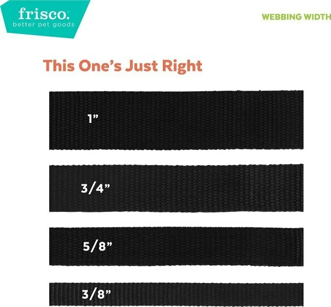 Frisco Thanksgiving Turkey Dog Collar 7 Frisco Thanksgiving Turkey Dog Collar - Image 5