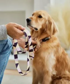 Frisco Purple Colorblock Dog Collar -The Frisco Store 291282 PT3. SY630 V1629488015