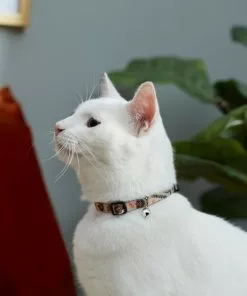 Frisco Thanksgiving Turkey Cat Collar, 8-12 Inches, 3/8-in wide -The Frisco Store 291323 PT3. SY630 V1629771382