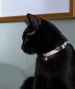 Frisco Purple Colorblock Cat Collar, 8-12 Inches, 3/8-in wide -The Frisco Store 291327 PT3. SY630 V1629771214