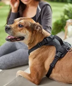 Frisco Monochromatic Dog Harness -The Frisco Store 291550 PT8. SY630 V1633121185