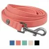 Frisco Monochromatic Dog Leash