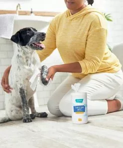 Frisco Deodorizing Paw & Bum Waterless Grooming Wipes for Dogs & Cats -The Frisco Store 291593 PT4. SY630 V1627654025