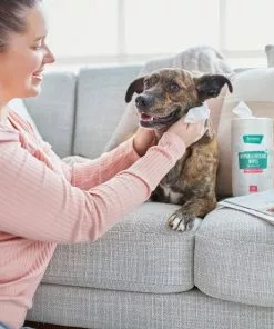 Frisco Hypoallergenic Waterless Grooming Wipes for Dogs & Cats, Soothing Chamomile, 80 count -The Frisco Store 291595 PT4. SY630 V1627306706