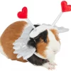 Frisco Guinea Pig Cupid Costume -The Frisco Store 292198 MAIN. SY630 V1637269646