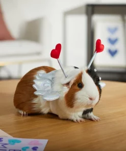 Frisco Guinea Pig Cupid Costume 11 Frisco Guinea Pig Cupid Costume -The Frisco Store 292198 PT8. SY630 V1637361404