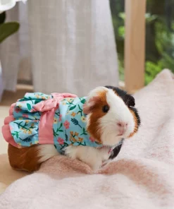 Frisco Guinea Pig Floral Dress 11 Frisco Guinea Pig Floral Dress -The Frisco Store 292200 PT4. SY630 V1641540431