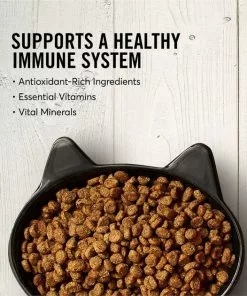 American Journey||Frisco American Journey Salmon Recipe Grain-Free Dry Food + Frisco Cat Tracks Butterfly Cat Toy -The Frisco Store 292634 PT3. SY630 V1619979426