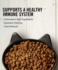 American Journey||Frisco American Journey Turkey & Chicken Recipe Grain-Free Dry Food + Frisco Cat Tracks Butterfly Cat Toy -The Frisco Store 292648 PT3. SY630 V1619999228