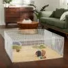Frisco Wire Small Pet Playpen with Door, 15-in -The Frisco Store 297212 MAIN. SY630 V1633378316