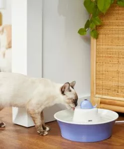 Frisco Ceramic Whale Dog & Cat Water Fountain, Blue, 64-oz