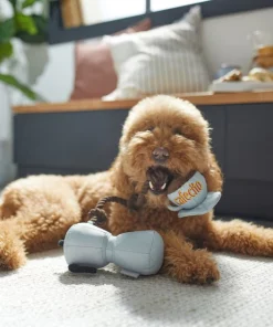 Frisco Brunch Coffee Pitcher Plush with Rope Squeaky Dog Toy 7 Frisco Brunch Coffee Pitcher Plush with Rope Squeaky Dog Toy -The Frisco Store 297234 PT2. SY630 V1642088693