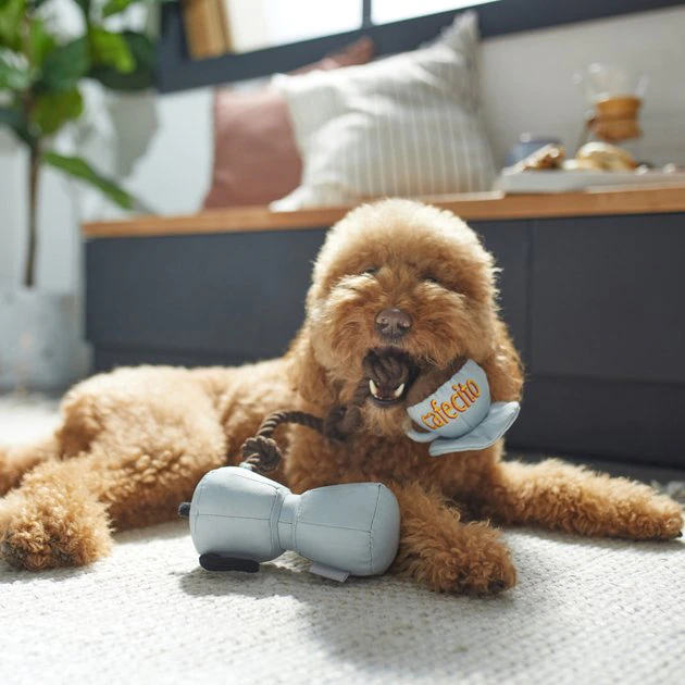 Frisco Brunch Coffee Pitcher Plush with Rope Squeaky Dog Toy 5 Frisco Brunch Coffee Pitcher Plush with Rope Squeaky Dog Toy - Image 3