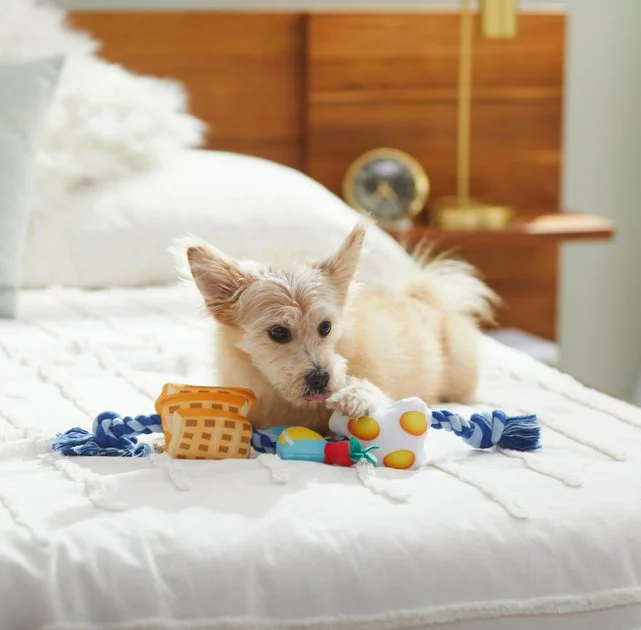 Frisco Brunch Breakfast Favorites Plush with Rope Squeaky Dog Toy 4 Frisco Brunch Breakfast Favorites Plush with Rope Squeaky Dog Toy - Image 2