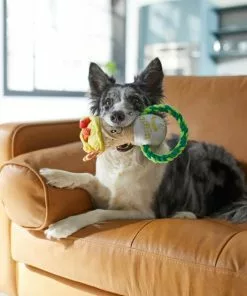 Frisco Brunch Breakfast Burrito Plush with Rope Squeaky Dog Toy 7 Frisco Brunch Breakfast Burrito Plush with Rope Squeaky Dog Toy -The Frisco Store 297238 PT2. SY630 V1642088670