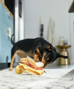 Frisco Brunch Egg in Hole 2-in-1 Plush Squeaky Dog Toy 9 Frisco Brunch Egg in Hole 2-in-1 Plush Squeaky Dog Toy -The Frisco Store 297246 PT3. SY630 V1642089088