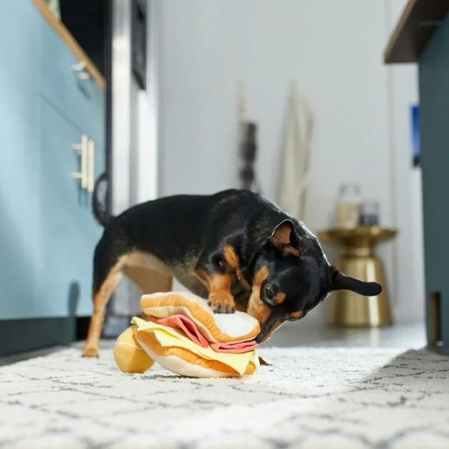 Frisco Brunch Egg in Hole 2-in-1 Plush Squeaky Dog Toy 6 Frisco Brunch Egg in Hole 2-in-1 Plush Squeaky Dog Toy - Image 4