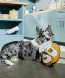 Frisco Brunch Cinnamon Roll Jumbo Plush Squeaky Dog Toy 7 Frisco Brunch Cinnamon Roll Jumbo Plush Squeaky Dog Toy -The Frisco Store 297260 PT2. SY630 V1642089012