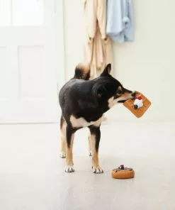 Frisco Brunch Pancake & Waffle Latex Squeaky Dog Toy, 2 count -The Frisco Store 297272 PT2. SY630 V1642089075