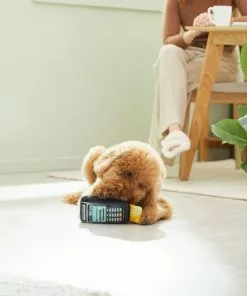 Frisco Brunch Credit Card & Machine Plush Squeaky Dog Toy -The Frisco Store 297274 PT2. SY630 V1642088452