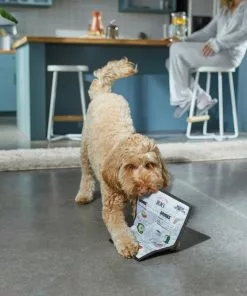 Frisco Brunch Menu Ballistic Nylon Flat Plush Squeaky Dog Toy 7 Frisco Brunch Menu Ballistic Nylon Flat Plush Squeaky Dog Toy -The Frisco Store 297276 PT2. SY630 V1642088788