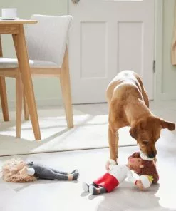 Frisco Brunch Chef & Waitress Plush Squeaky Dog Toy, 2 count 7 Frisco Brunch Chef & Waitress Plush Squeaky Dog Toy, 2 count -The Frisco Store 297278 PT2. SY630 V1642088629