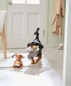 Frisco Brunch Dog & Squirrel Plush Squeaky Dog Toy, 2 count 7 Frisco Brunch Dog & Squirrel Plush Squeaky Dog Toy, 2 count -The Frisco Store 297280 PT2. SY630 V1642088192