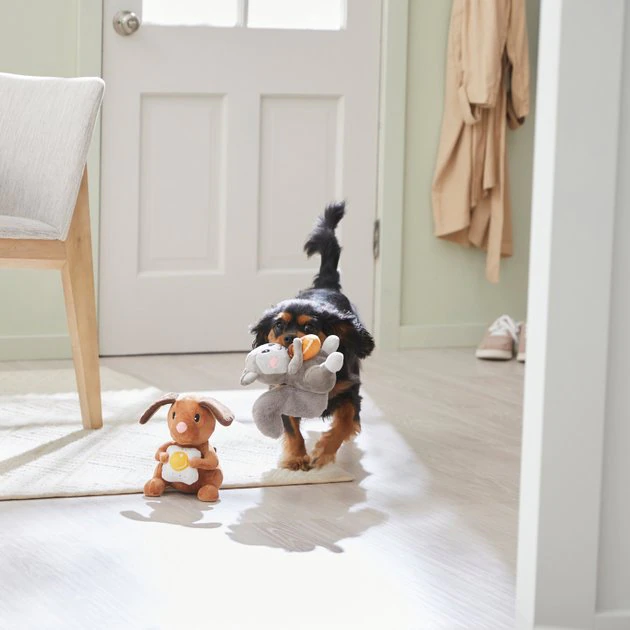 Frisco Brunch Dog & Squirrel Plush Squeaky Dog Toy, 2 count 5 Frisco Brunch Dog & Squirrel Plush Squeaky Dog Toy, 2 count - Image 3