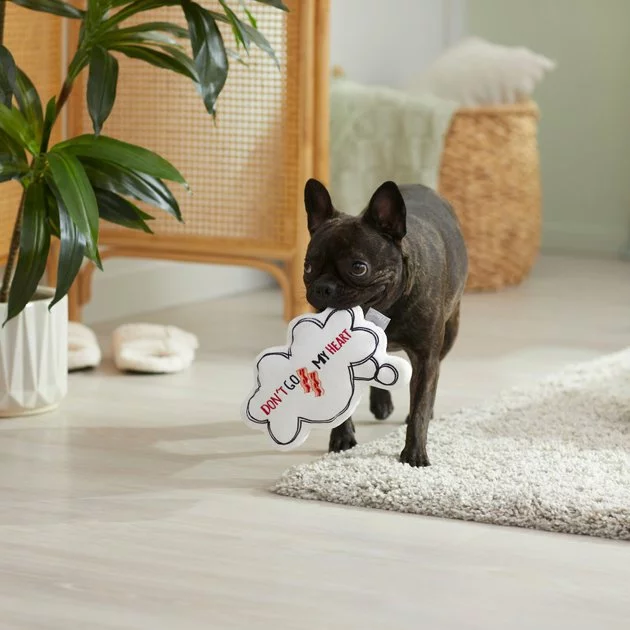 Frisco Brunch Thought Bubble Plush Squeaky Dog Toy 6 Frisco Brunch Thought Bubble Plush Squeaky Dog Toy - Image 4