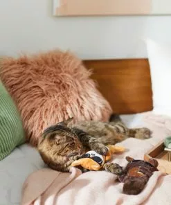 Frisco Brunch Bear & Fox Plush Cat Toy with Catnip, 2 count -The Frisco Store 297290 PT2. SY630 V1642088814