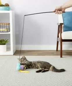 American Journey||Frisco American Journey 100% Chicken Freeze-Dried Grain-Free Cat Treats, 5-oz bag + Frisco Bird Teaser with Feathers Cat Toy, Blue -The Frisco Store 297664 PT7. SY630 V1621266747