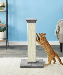 Frisco 33.5-in Sisal Cat Scratching Post, Gray + Frisco Sisal Mat, Medium -The Frisco Store 297950 PT3. SY630 V1622740107