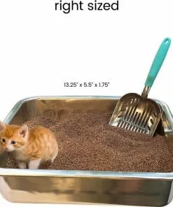 DurAnimals||Frisco DurAnimals DuraScoop Original Cat Litter Scoop, Color Varies + Frisco Flip Top Hooded Corner Cat Litter Box, Large, 21-in -The Frisco Store 297968 PT3. SY630 V1621305450
