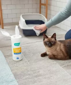 Frisco High Sided Cat Litter Box, Navy, Extra Large 24-in + Frisco Litter Box Cleaning Wipes, 40 count -The Frisco Store 297976 PT5. SY630 V1621303959