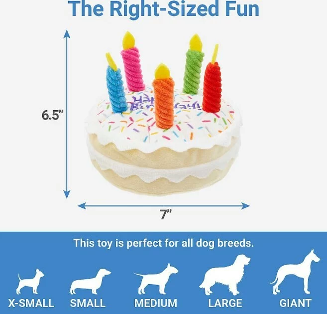Frisco||The Lazy Dog Cookie Co. Frisco Plush Squeaking Birthday Cake Dog Toy, Small/Medium + The Lazy Dog Cookie Co. Happy Birthday Pup-PIE Dog Treat, Boy 5 Frisco||The Lazy Dog Cookie Co. Frisco Plush Squeaking Birthday Cake Dog Toy, Small/Medium + The Lazy Dog Cookie Co. Happy Birthday Pup-PIE Dog Treat, Boy - Image 3
