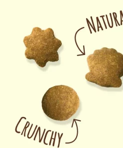 Friskies||Frisco Friskies Party Mix Natural Yums With Real Salmon Cat Treats, 6-oz pouch + Frisco Melamine Dog & Cat Treat Jar with Bamboo Lid, 8 Cups -The Frisco Store 298040 PT3. SY630 V1623251845