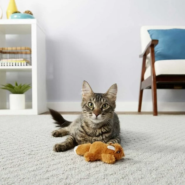 Instinct||Frisco Instinct Raw Boost Grain-Free Recipe with Real Chicken & Freeze-Dried Raw Coated Pieces Dry Cat Food, 10-lb bag + Frisco Refillable Catnip Cat Toy, Brown Squirrel 9 Instinct||Frisco Instinct Raw Boost Grain-Free Recipe with Real Chicken & Freeze-Dried Raw Coated Pieces Dry Cat Food, 10-lb bag + Frisco Refillable Catnip Cat Toy, Brown Squirrel - Image 7