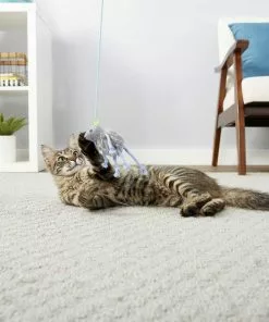 PureBites||Frisco PureBites Chicken Breast Freeze-Dried Raw Cat Treats, 2.3-oz bag + Frisco Bouncy Mouse Cat Toy, Blue -The Frisco Store 298414 PT5. SY630 V1623194253