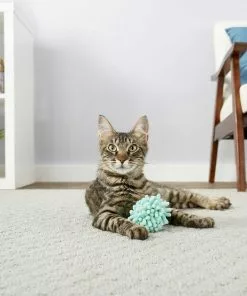 Sheba||Frisco Sheba Meaty Tender Sticks Chicken Cat Treats, 5 count + Frisco Moppy Ball Cat Toy, Blue -The Frisco Store 298506 PT4. SY630 V1623197251