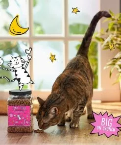 Tiny Tiger||Frisco Tiny Tiger Crunchy Bunch, Fearless Feathers and Gracious Gills, Chicken & Seafood Flavor Cat Treats, 20-oz Jar + Frisco Melamine Dog & Cat Treat Jar with Bamboo Lid, 8 Cups -The Frisco Store 298586 PT3. SY630 V1623202356