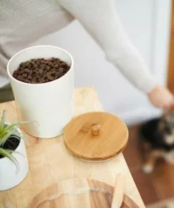 Tiny Tiger||Frisco Tiny Tiger Tuna Tidbits Flavor Filled Cat Treats, 16-oz bag + Frisco Melamine Dog & Cat Treat Jar with Bamboo Lid, 8 Cups 15 Tiny Tiger||Frisco Tiny Tiger Tuna Tidbits Flavor Filled Cat Treats, 16-oz bag + Frisco Melamine Dog & Cat Treat Jar with Bamboo Lid, 8 Cups -The Frisco Store 298600 PT6. SY630 V1623195757