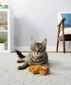 Weruva||Frisco Weruva Paw Lickin' Chicken in Gravy Grain-Free Canned Cat Food, 3-oz, case of 24 + Frisco Refillable Catnip Cat Toy, Brown Squirrel -The Frisco Store 298762 PT5. SY630 V1623200250