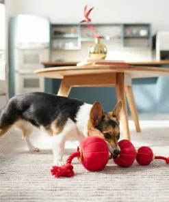 Frisco Lantern Plush with Rope Squeaky Dog Toy -The Frisco Store 298885 PT3. SY630 V1640269279