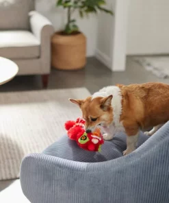 Frisco Dragon Bungee Plush Squeaky Dog Toy -The Frisco Store 298887 PT3. SY630 V1640269125